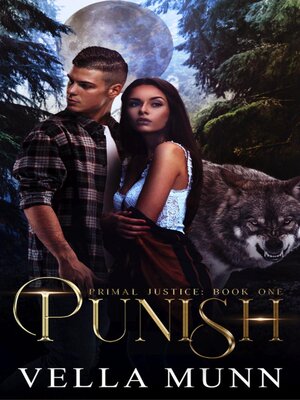 cover image of Punish